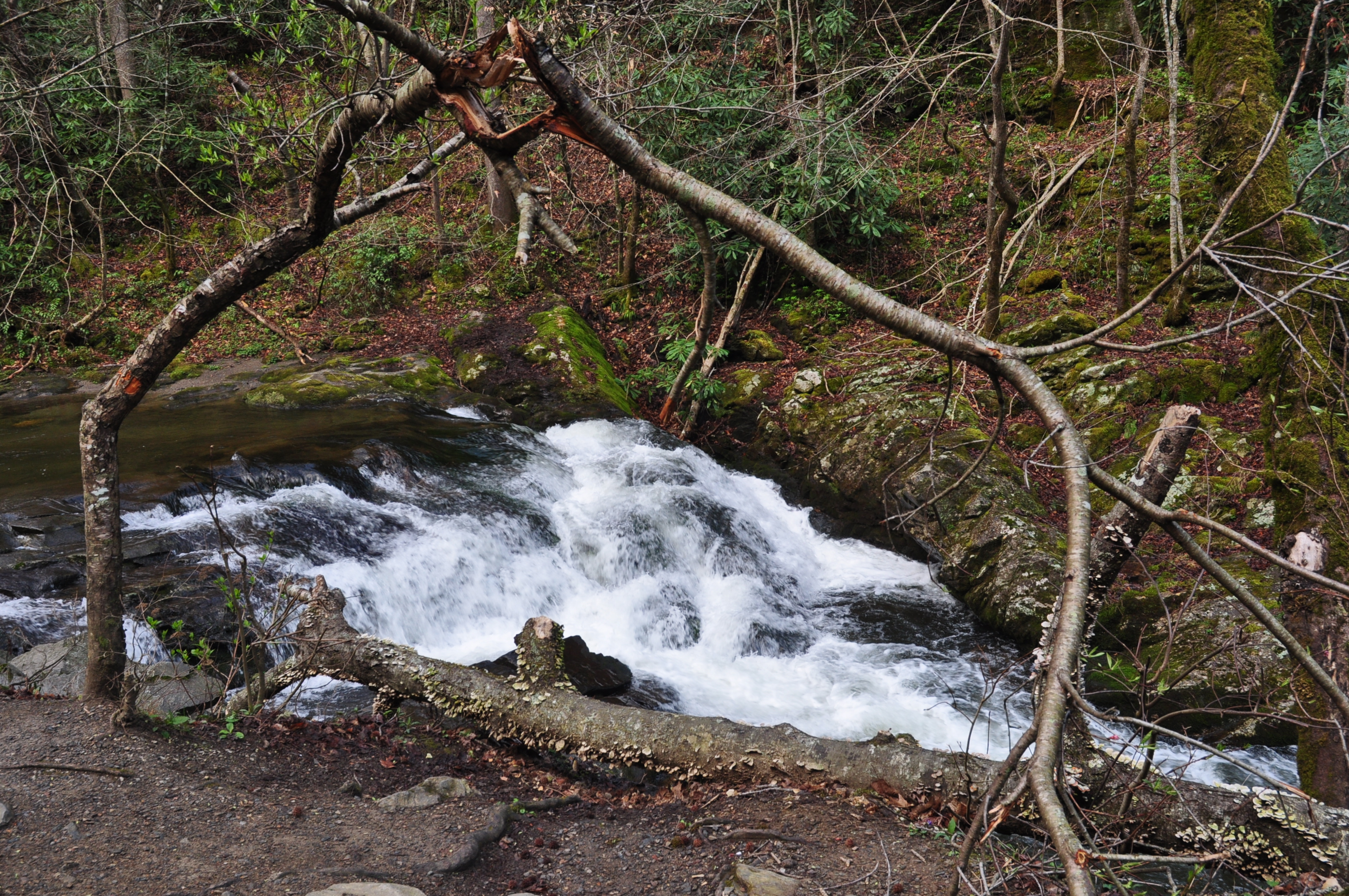 Cades Cove